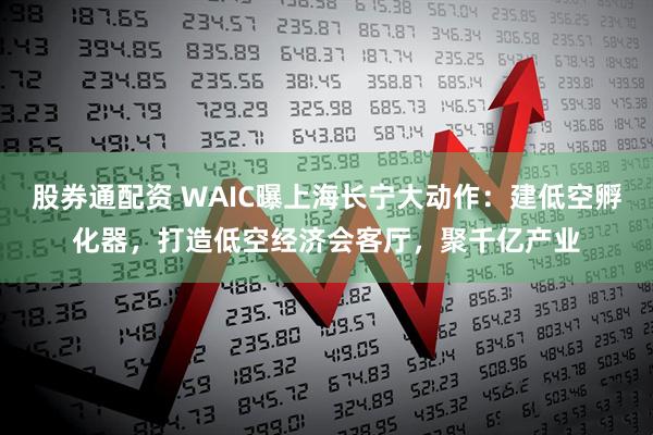 股券通配资 WAIC曝上海长宁大动作：建低空孵化器，打造低空经济会客厅，聚千亿产业