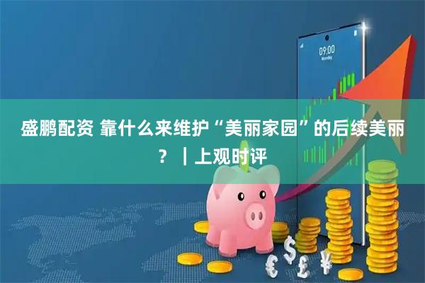 盛鹏配资 靠什么来维护“美丽家园”的后续美丽？｜上观时评