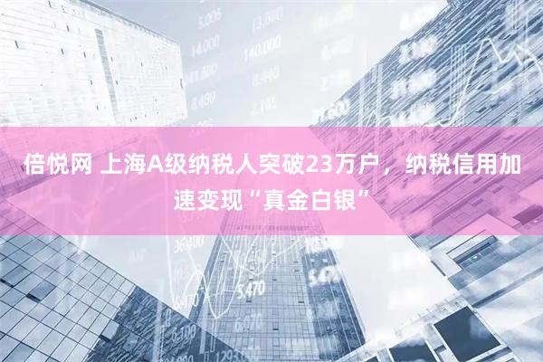 倍悦网 上海A级纳税人突破23万户，纳税信用加速变现“真金白银”