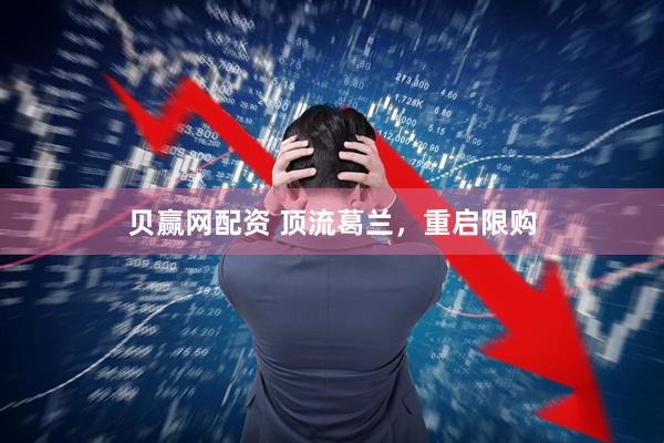 贝赢网配资 顶流葛兰，重启限购