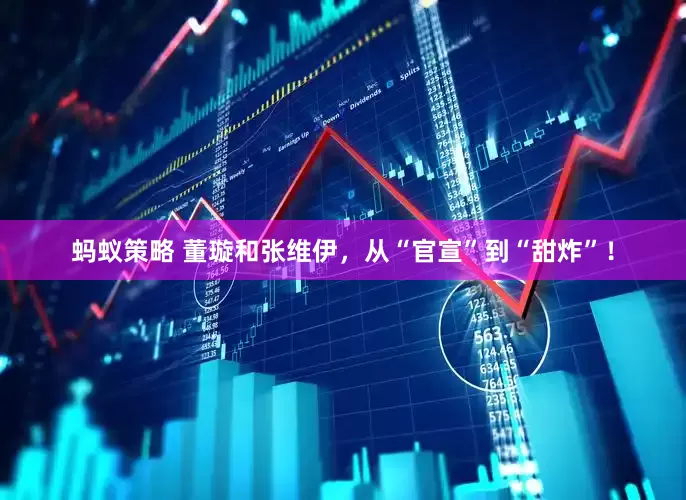 蚂蚁策略 董璇和张维伊，从“官宣”到“甜炸”！
