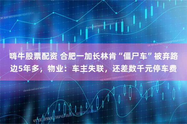 嗨牛股票配资 合肥一加长林肯“僵尸车”被弃路边5年多，物业：车主失联，还差数千元停车费