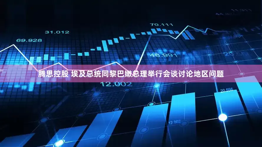 腾思控股 埃及总统同黎巴嫩总理举行会谈讨论地区问题