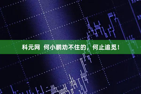 科元网  何小鹏劝不住的，何止追觅！